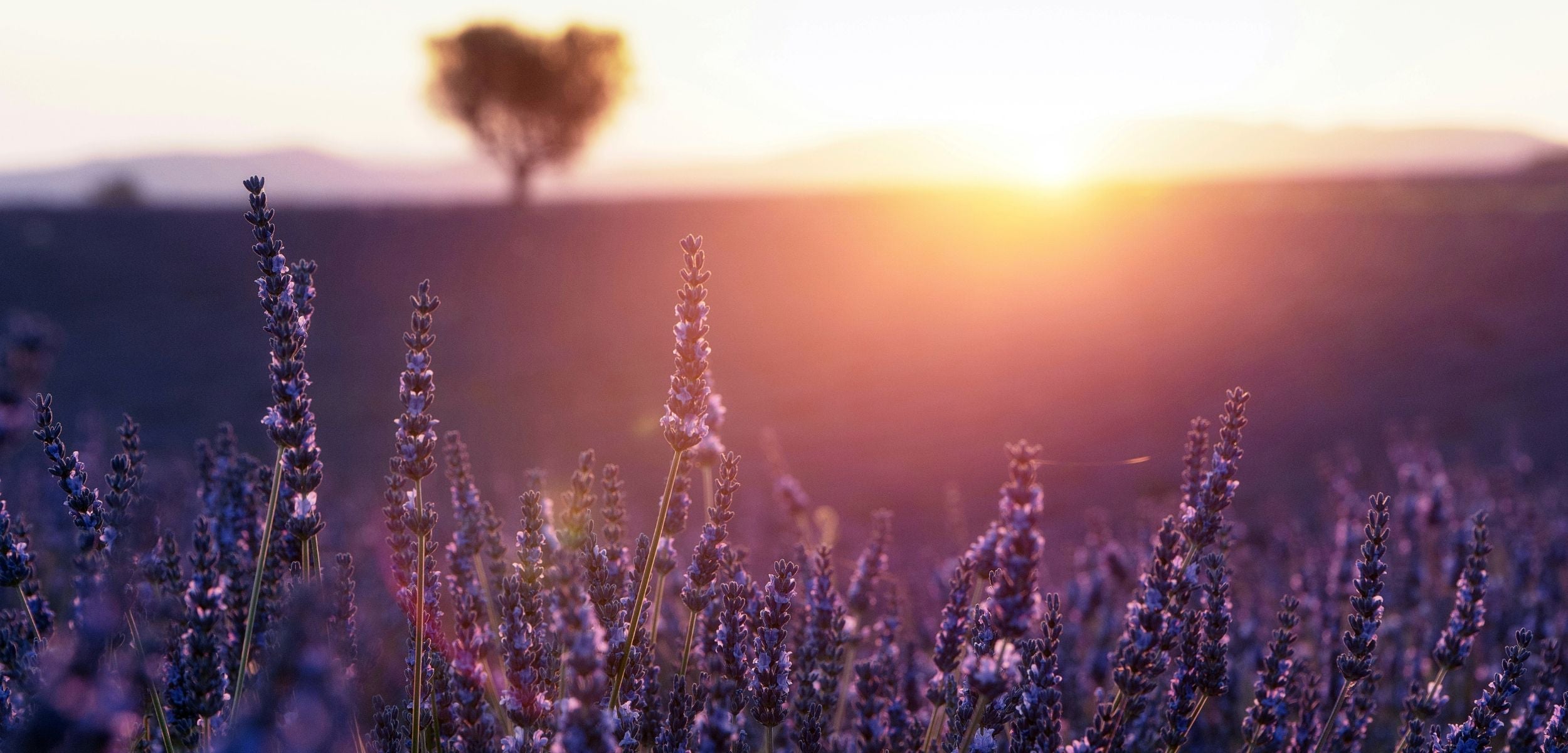 💤 Magnesium & Your Nervous System: How It Supports Stress, Muscle Recovery & Deep Rest