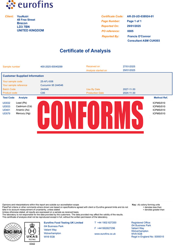 Curcumin 95 - Super Strength Turmeric Complex