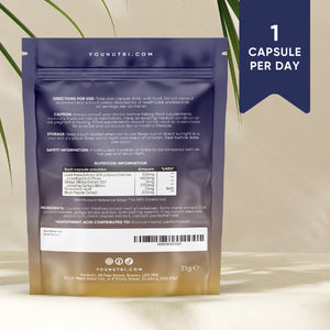 Lion's Mane High Strength 16:1 - Focus Complex