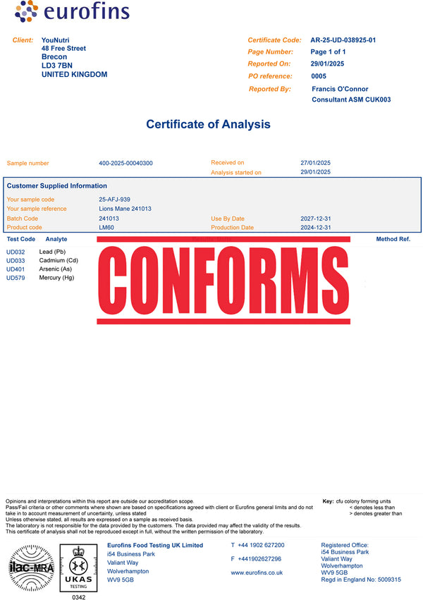 Lion's Mane High Strength 16:1 - Focus Complex